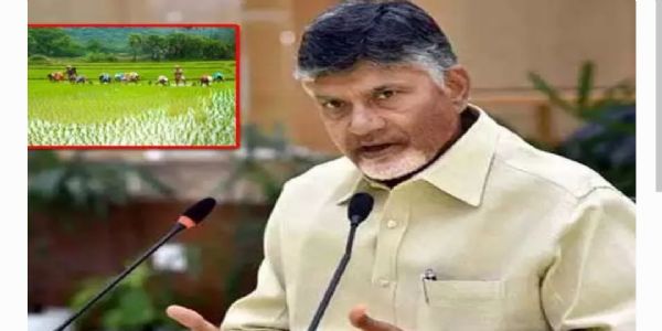 ఏపీలో రతన్ టాటా ఇన్నోవేషన్ హబ్ ఏర్పాటు