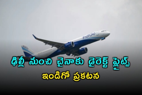 ఢిల్లీ నుంచి చైనాకు డైరెక్ట్ ప్లైట్స్... ఇండిగో ప్రకటన