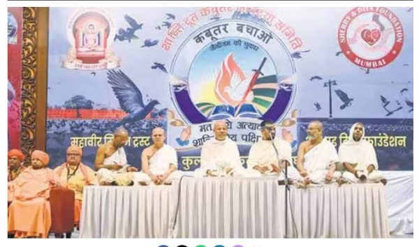 పావురాల కోసం ప్రత్యేక రాజకీయ పార్టీ.. వచ్చే ఎన్నికల్లో పోటీకి సైతం సై