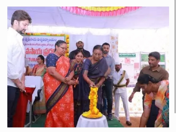 సిద్దిపేట జిల్లా కలెక్టర్
