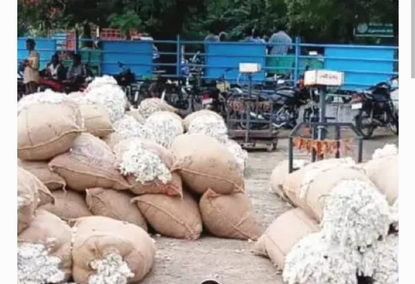 పత్తి రైతులు