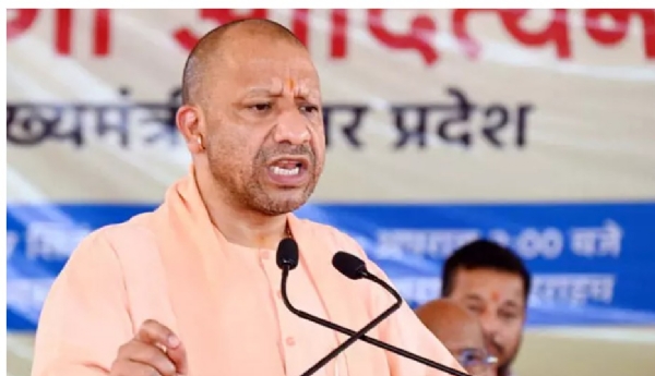 yogi