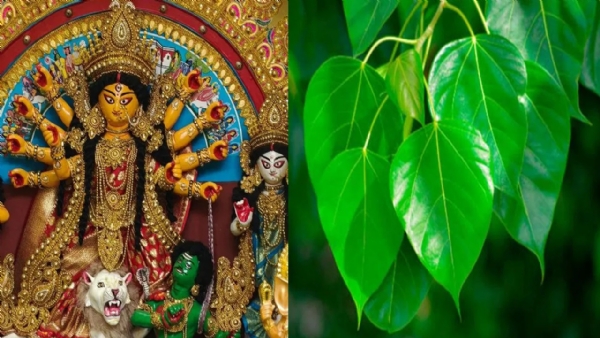 దసరాకు ఈ వస్తువులను ఇంటికి తీసుకురండి.. అదృష్టం, సంపద వెల్లివిరుస్తుంది!