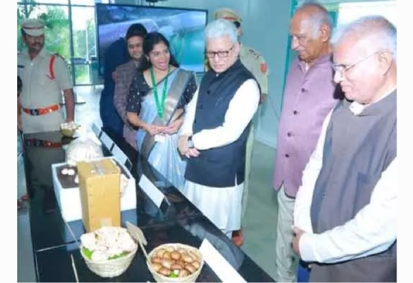 గవర్నర్ జిష్ణుదేవ్