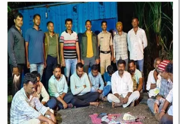 పేకాట పేకాట