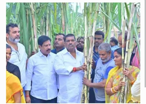 పటాన్చెరు ఎమ్మెల్యే పటాన్చెరు ఎమ్మెల్యే