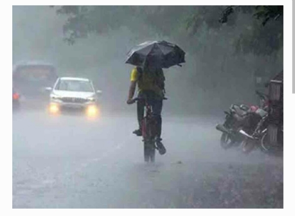 వర్షాలు వర్షాలు