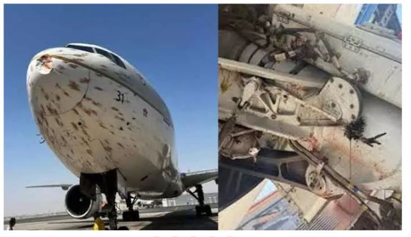 /flock-of-birds-hits-boeing-777-300-487539 /flock-of-birds-hits-boeing-777-300-487539