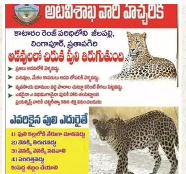 చిరుత పులి చిరుత పులి