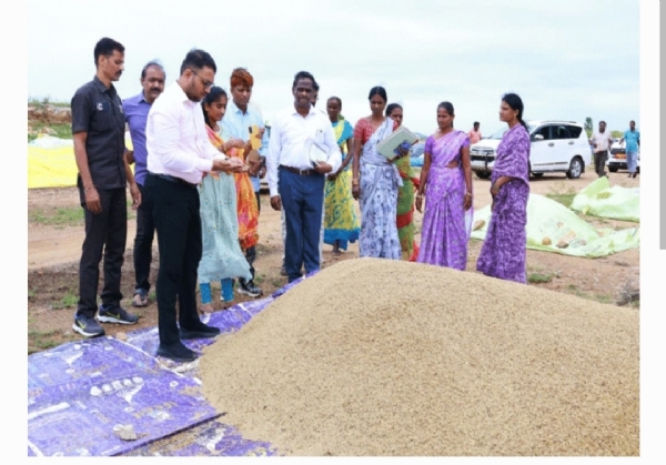 సూర్యాపేట కలెక్టర్ సూర్యాపేట కలెక్టర్