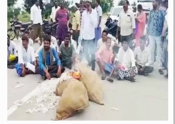 పత్తి రైతులు