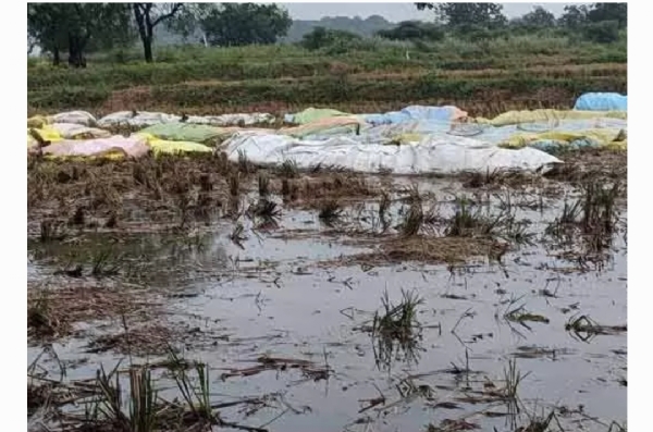 నిజామాబాద్ జిల్లా