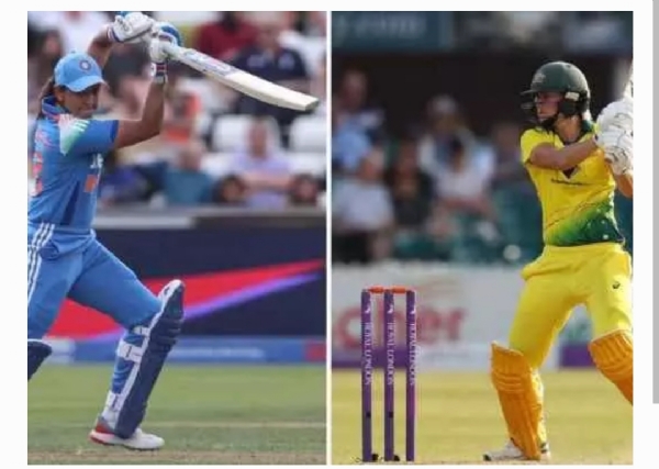 క్రికెట్