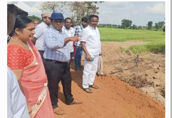 మెదక్ కలెక్టర్