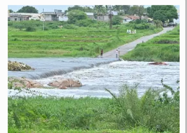 మూసీ నది