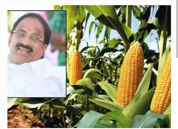 మంత్రి తుమ్మల