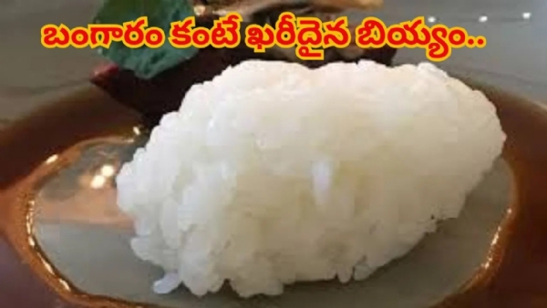 బాబోయ్.. బంగారం కంటే ఖరీదైన బియ్యం.. ఈ అన్నం తినాలంటే పెట్టి పుట్టి ఉండాలేమో..! బాబోయ్.. బంగారం కంటే ఖరీదైన బియ్యం.. ఈ అన్నం తినాలంటే పెట్టి పుట్టి ఉండాలేమో..!