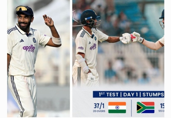 క్రికెట్ క్రికెట్