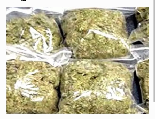 గంజాయి గంజాయి