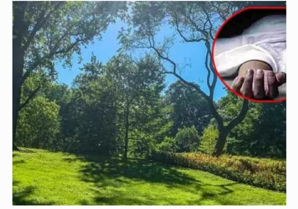 మావోయిస్టు మావోయిస్టు