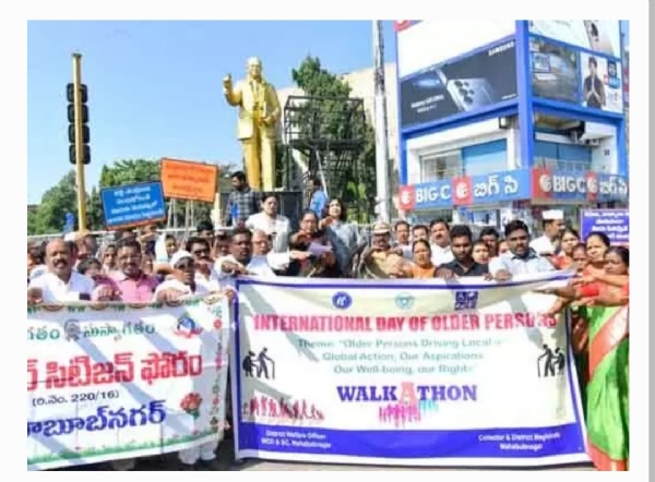 మహబూబ్నగర్ కలెక్టర్ మహబూబ్నగర్ కలెక్టర్