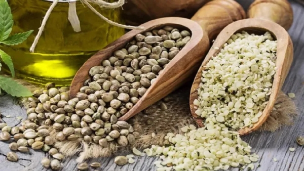 Healthy Seeds: Know the health benefits of hemp seeds Healthy Seeds: Know the health benefits of hemp seeds