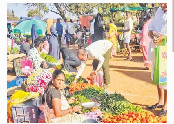 కూరగాయ ధరలు కూరగాయ ధరలు