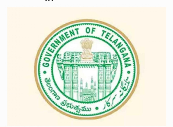 స్థానిక ఎన్నికలు స్థానిక ఎన్నికలు