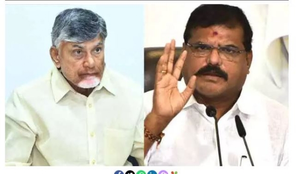 బొత్స బొత్స