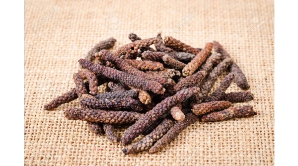 5 Amazing Health Benefits of Traditional Long Pepper details telugu 5 Amazing Health Benefits of Traditional Long Pepper details telugu