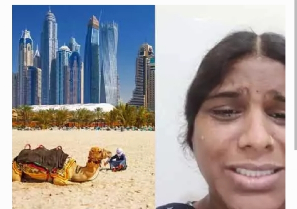 ఏపీ మహిళ ఏపీ మహిళ