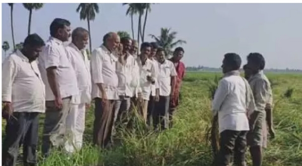 అనపర్తి అనపర్తి