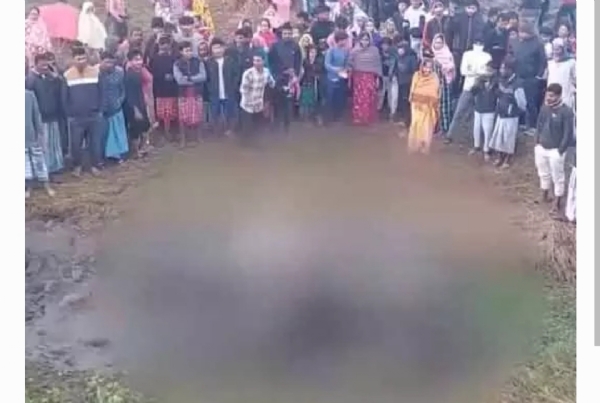 ఏనుగు మృతి ఏనుగు మృతి