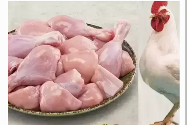 చలి ఎఫెక్ట్ చలి ఎఫెక్ట్