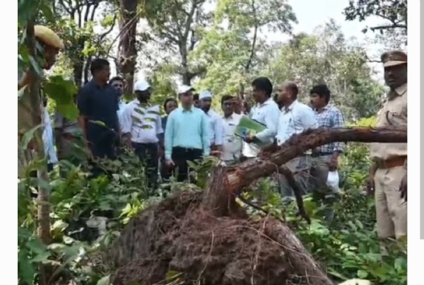 కలెక్టర్ రాహుల్ శర్మ కలెక్టర్ రాహుల్ శర్మ
