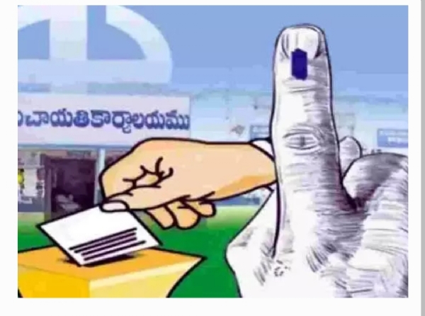 లోకల్ ఎలక్షన్ లోకల్ ఎలక్షన్