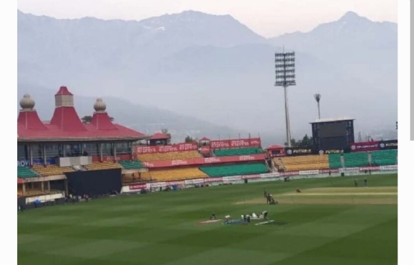 క్రికెట్ క్రికెట్