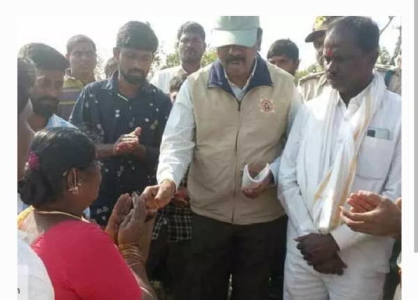 పెద్దపులి