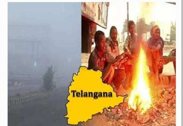 చలిపులి