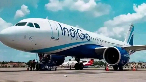 IndiGo IndiGo