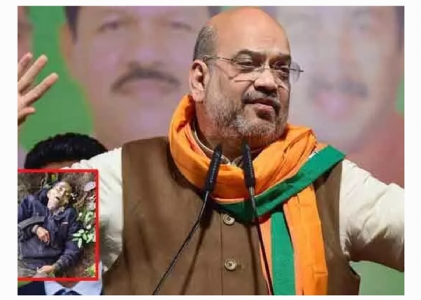 అమిత్ షా హర్షం