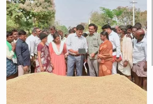 అడిషనల్ కలెక్టర్