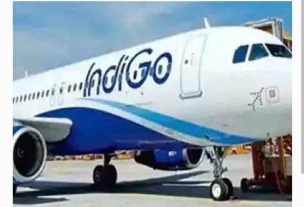 ఇండిగో ఎఫెక్ట్