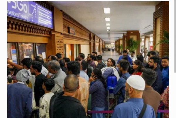 ఇండిగో ఇండిగో