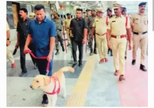 పోలీసులు పోలీసులు