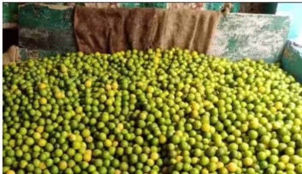 /sri-potti-sriramulu-nellore-district/nellore-district-farmers-stalls-in-lemon-market-502200 /sri-potti-sriramulu-nellore-district/nellore-district-farmers-stalls-in-lemon-market-502200