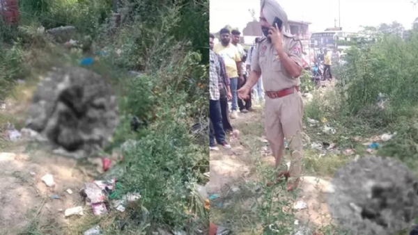 1 killed in explosion on Majitha Road Bypass in Amritsar