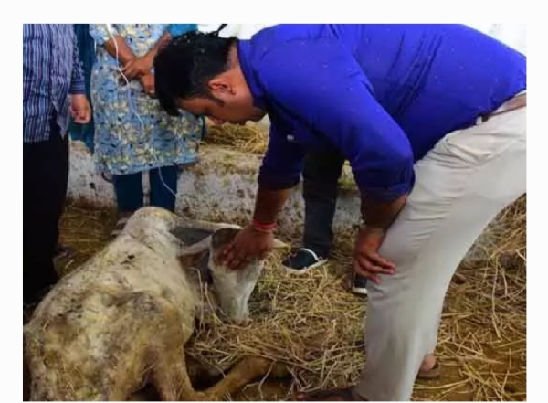 వేములవాడ