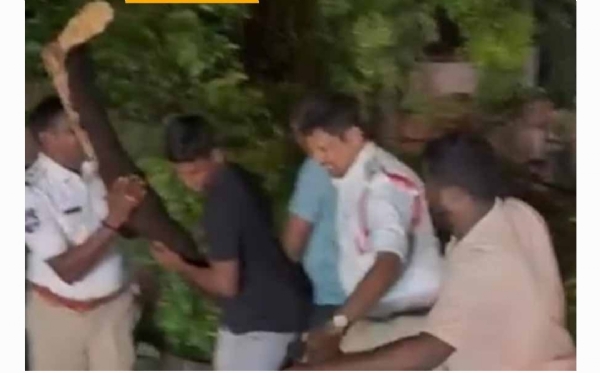 ఈదురు గాలులు