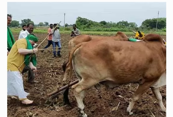 మంత్రి పొన్న